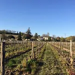 Chateau De Vertheuil Sainte-Croix-du-Mont