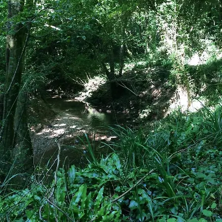 Tatil Evi Chateau De Vertheuil Sainte-Croix-du-Mont