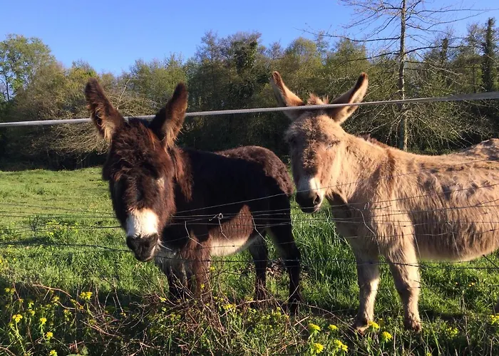 Château De Vertheuil Casa de Férias Sainte-Croix-du-Mont
