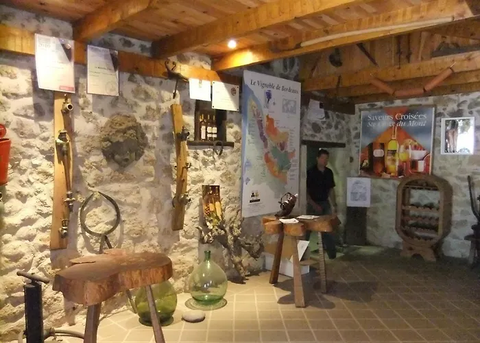度假居 Chateau De Vertheuil *