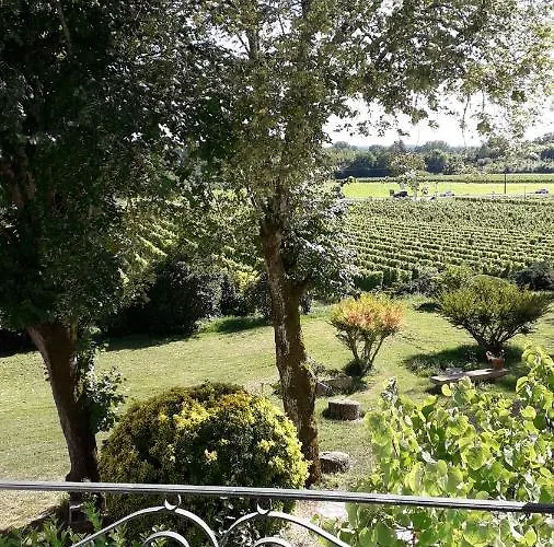 Château De Vertheuil * Sainte-Croix-du-Mont