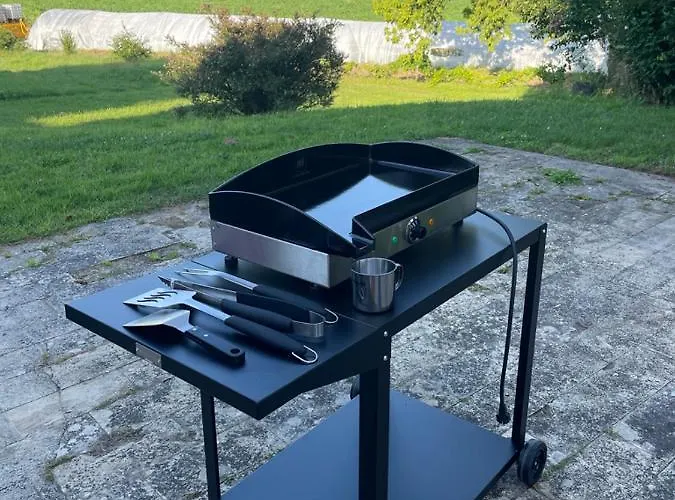 Château De Vertheuil